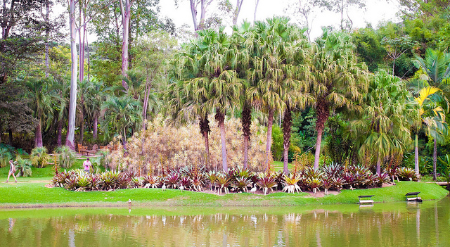 inhotim-paisagem